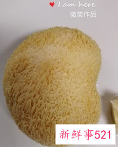 干猴头菇怎样炖鸡汤