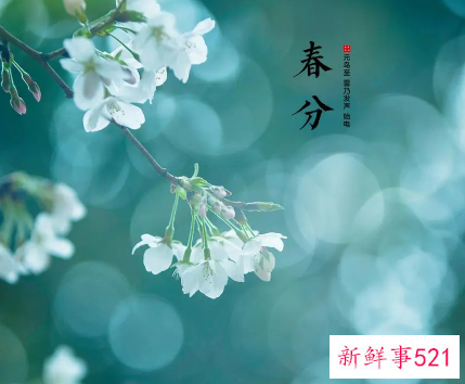 春分节气的含义