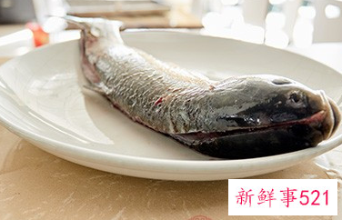 学生增强记忆力的食物有哪些