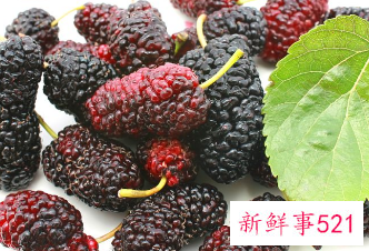 桑葚山楂片的作用和功效