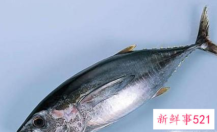 优质蛋白质主要来源于哪些食物