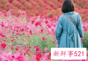 女人优雅的网名