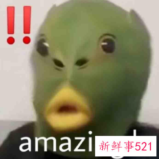 网络流行语2021排行榜数字