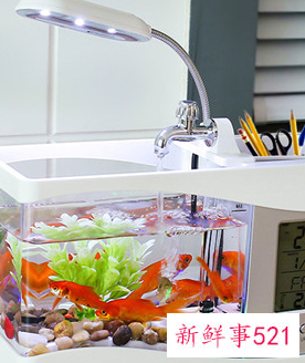 最适合送给老人的礼物