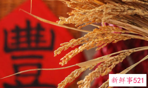 出伏和处暑是一回事吗