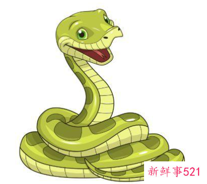 适合住东户的属相