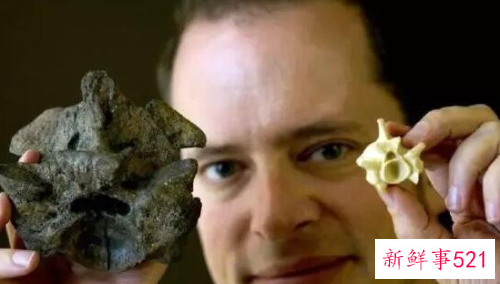 人类已知最大的蛇