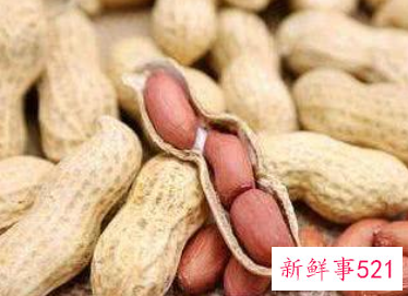 优质蛋白质主要来源于哪些食物