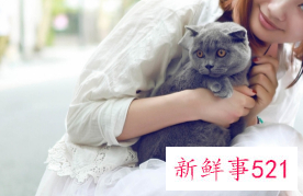 一楼晒不到太阳解决方案