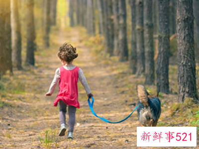 养狗会破坏家里的财运吗