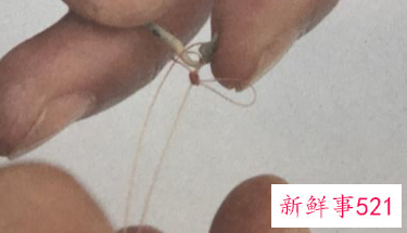 新手钓鱼怎么把鱼线绑到杆上