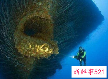 梦到恐怖的大海