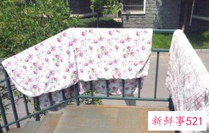 一楼晒不到太阳解决方案