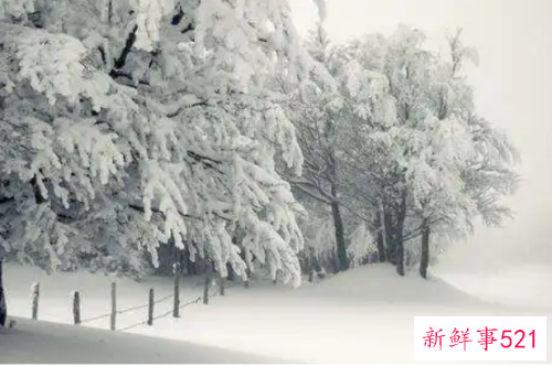 梦见地上厚厚的雪是什么意思