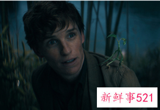 《神奇动物3》中国独家预告曝光