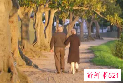 梦见老人吻了我的手