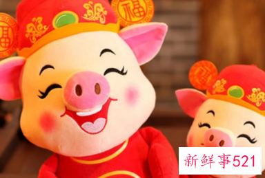 属猪男认定你的表现