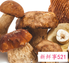 赤松茸的保存方法