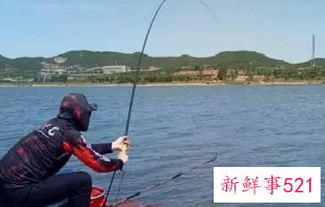新手钓鱼怎么把鱼线绑到杆上