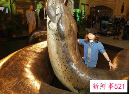 人类已知最大的蛇