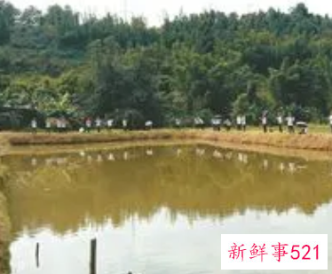 承包鱼塘体是什么意思