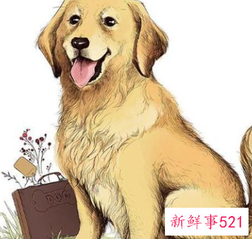 适合住东户的属相