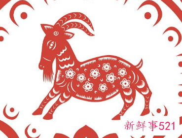 91年属羊财运好吗