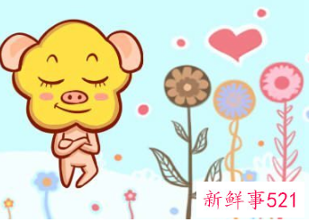 王姓猪年女宝名字