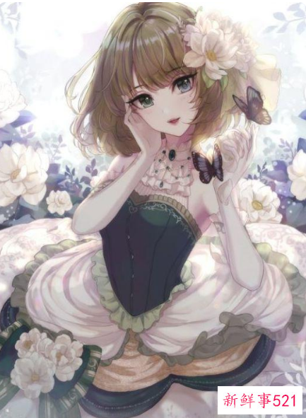 12星座追求者有多少人