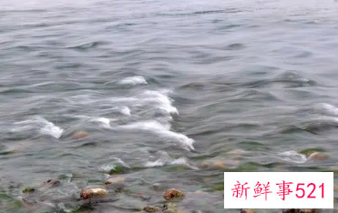 梦见河水很大很急流