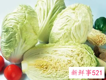 白菜的功效与作用禁忌及食用方法