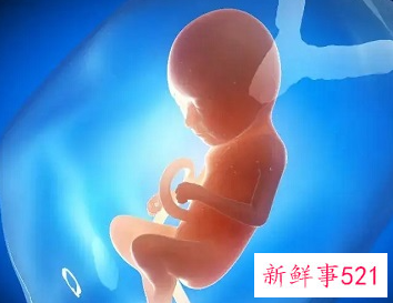 怀孕恶心说明胎坐稳了