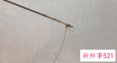 新手钓鱼怎么把鱼线绑到杆上