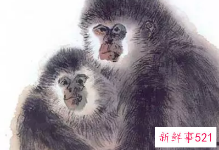 男蛇女猴婚姻会长久吗