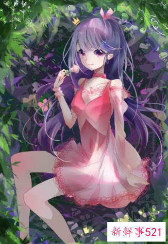 12星座追求者有多少人