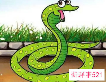 属蛇配什么颜色招财