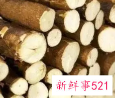 哪些人不适宜吃木薯