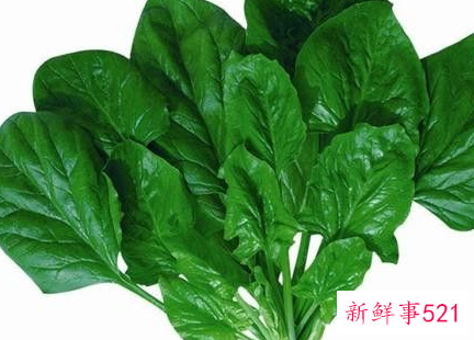 菠菜有哪些人不能吃