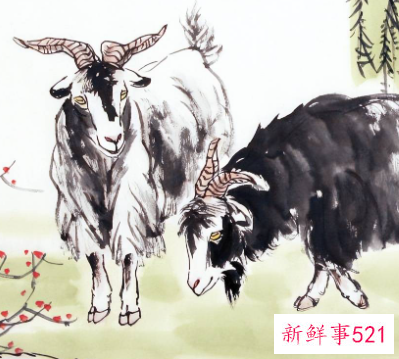 属羊人多少岁转运