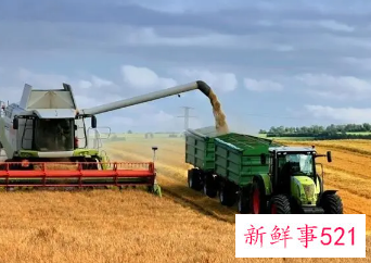 农村有什么好的致富商机