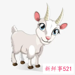 91年属羊财运好吗