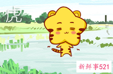 嫁给哪个生肖男最惨