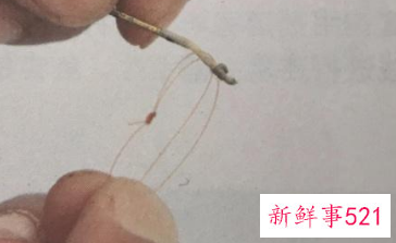 新手钓鱼怎么把鱼线绑到杆上