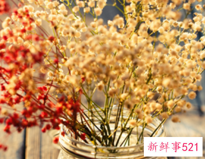 属虎住宅最佳方位