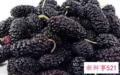 女人吃桑葚的禁忌有哪些