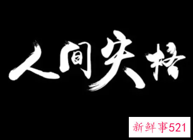 人间失格读后感800字