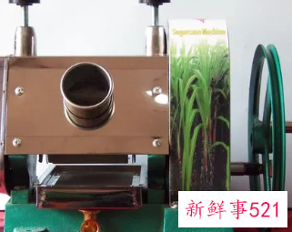 甘蔗榨汁机怎么选
