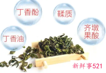 丁香叶茶的功效与作用及冲泡方法