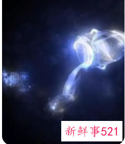 什么星座爱水瓶女