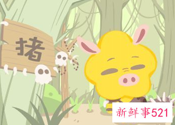 王姓猪年女宝名字